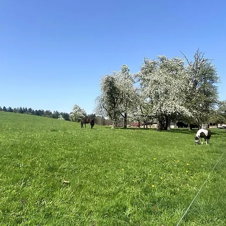 Helchenhof