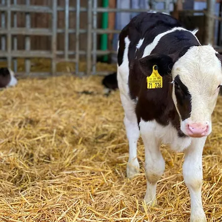 Helchenhof アパート ユーバーリンゲン