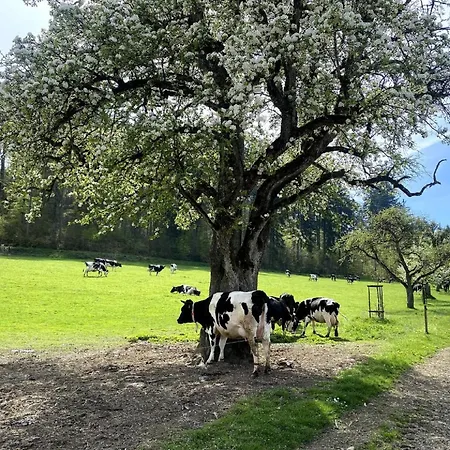 Helchenhof Apartmán Uberlingen