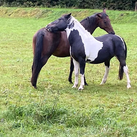 Helchenhof * ユーバーリンゲン