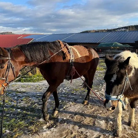 アパート Helchenhof