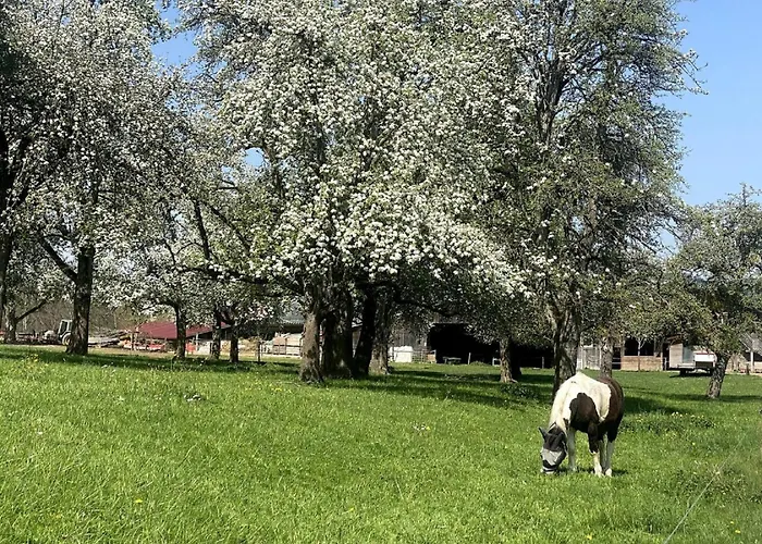 아파트 Helchenhof *