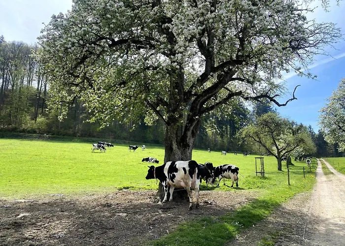 Helchenhof 아파트 위버링겐