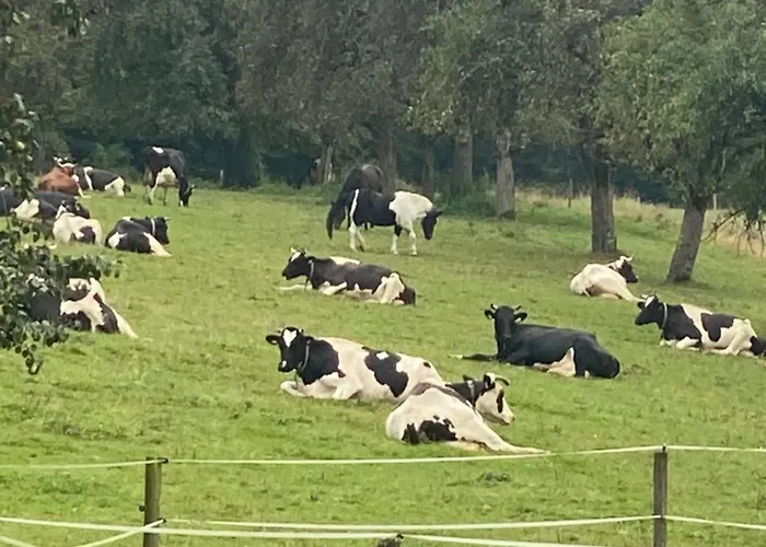 아파트 Helchenhof *