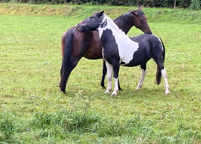 Helchenhof * 위버링겐