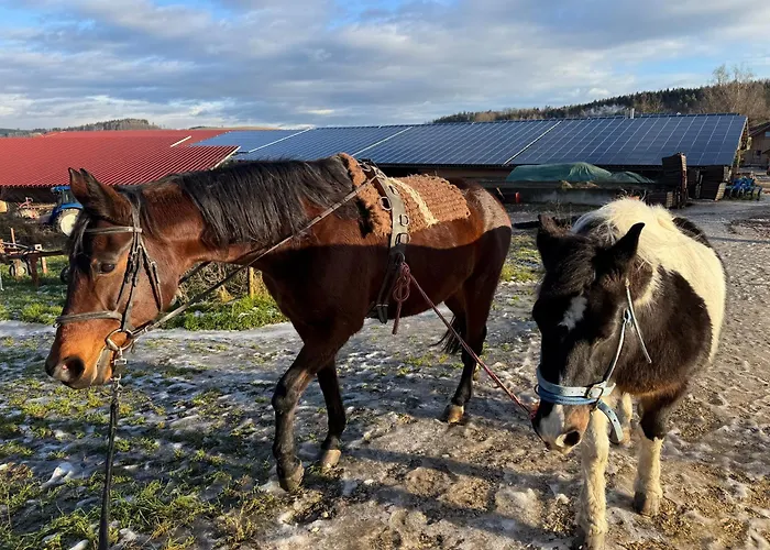 아파트 Helchenhof