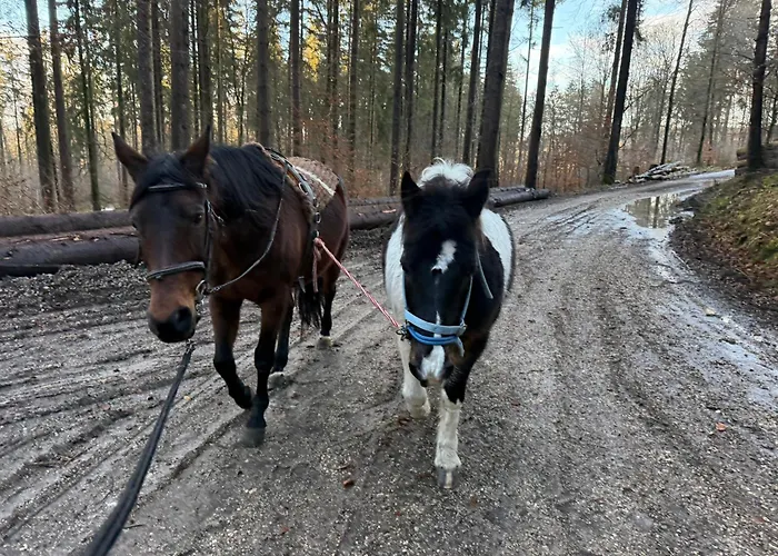 아파트 Helchenhof 위버링겐